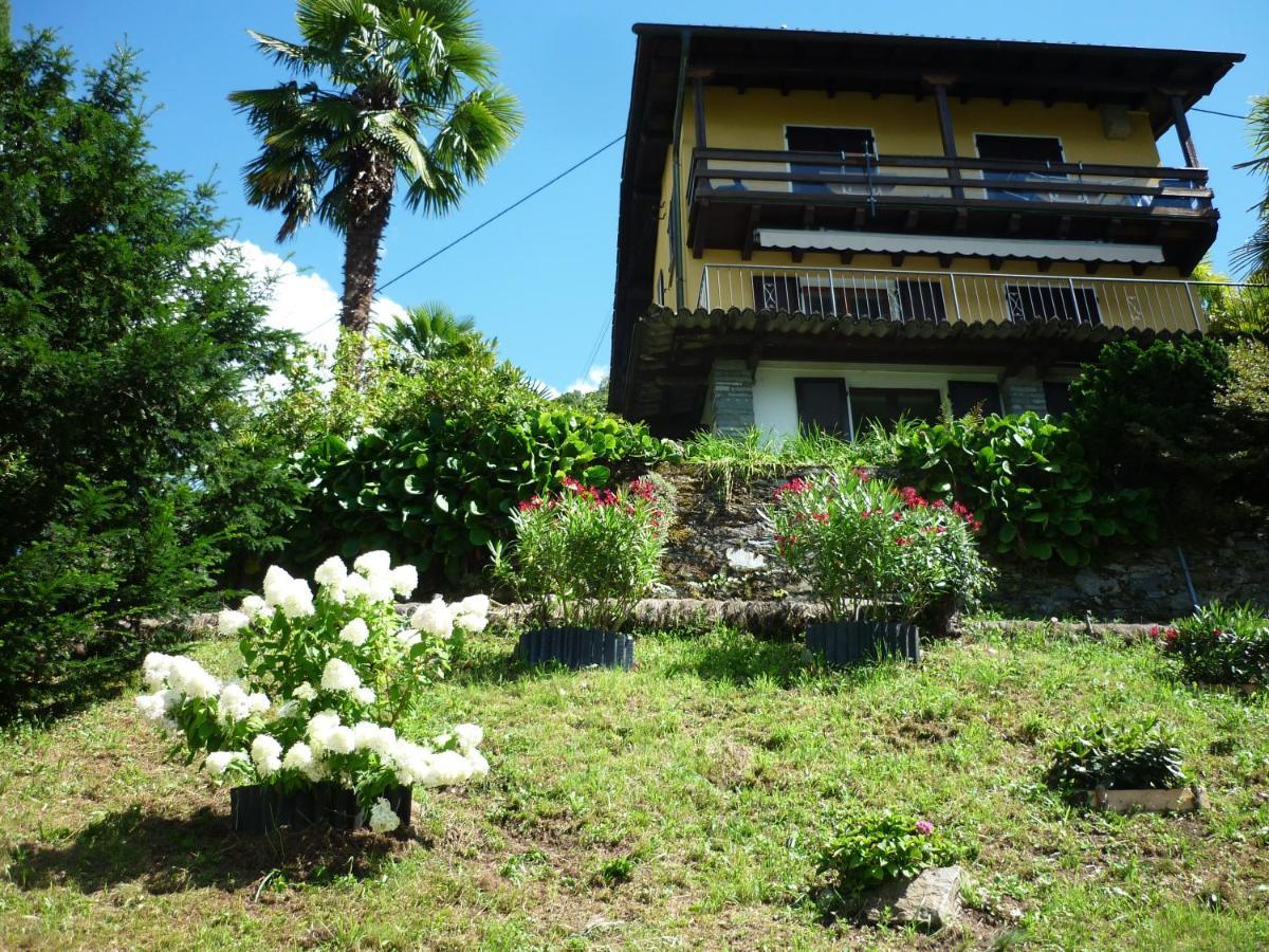 Casa Petra Apartment Gambarogno Luaran gambar
