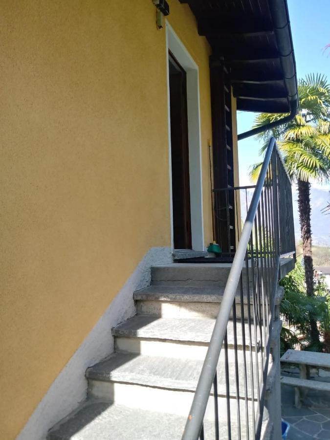 Casa Petra Apartment Gambarogno Luaran gambar